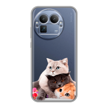 Силиконовый чехол на Realme GT8 Pro с принтом Кошки Силиконовый чехол на Realme GT8 Pro с принтом Кошки