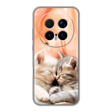 Силиконовый чехол на Honor Magic 8 Pro с принтом Котята Силиконовый чехол на Honor Magic 8 Pro с принтом Котята