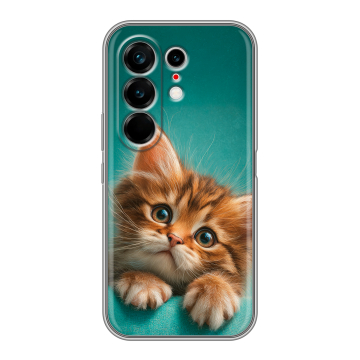 Силиконовый чехол на Tecno Camon 50 Ultra с принтом котенок Силиконовый чехол на Tecno Camon 50 Ultra с принтом котенок