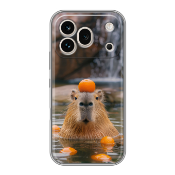Силиконовый чехол на Honor 600 Pro с принтом Капибара с апельсином Силиконовый чехол на Honor 600 Pro с принтом Капибара с апельсином
