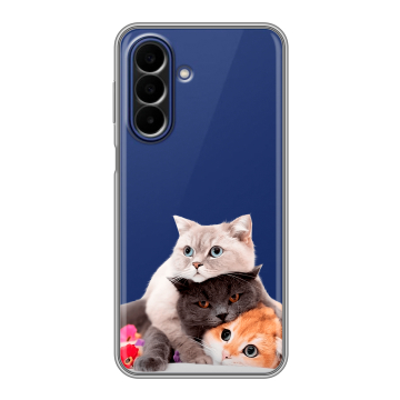 Силиконовый чехол на Samsung Galaxy A27 с принтом Кошки