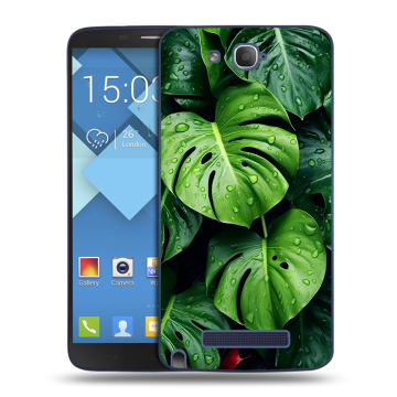 Пластиковый чехол на Alcatel One Touch Hero с принтом Листья Пластиковый чехол на Alcatel One Touch Hero с принтом Листья