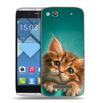 Пластиковый чехол на Alcatel One Touch Idol Alpha с принтом котенок Пластиковый чехол на Alcatel One Touch Idol Alpha с принтом котенок