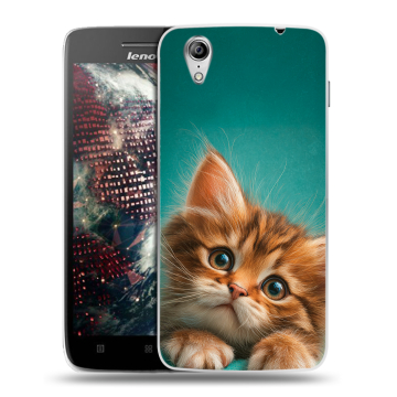 Пластиковый чехол на Lenovo Vibe X с принтом котенок Пластиковый чехол на Lenovo Vibe X с принтом котенок