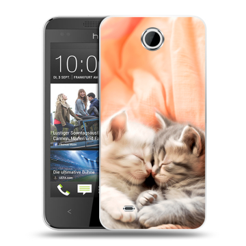 Силиконовый чехол на HTC Desire 300 с принтом Котята