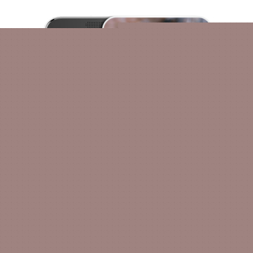 Силиконовый чехол на HTC Desire 300 с принтом Капибара с апельсином