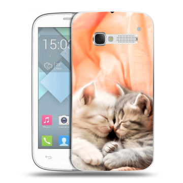 Пластиковый чехол на Alcatel One Touch Pop C5 с принтом Котята Пластиковый чехол на Alcatel One Touch Pop C5 с принтом Котята