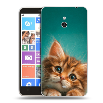 Пластиковый чехол на Nokia Lumia 1320 с принтом котенок