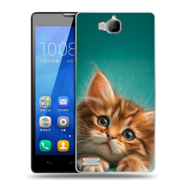 Пластиковый чехол на Huawei Honor 3c с принтом котенок Пластиковый чехол на Huawei Honor 3c с принтом котенок