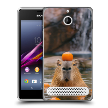 Пластиковый чехол на Sony Xperia E1 с принтом Капибара с апельсином