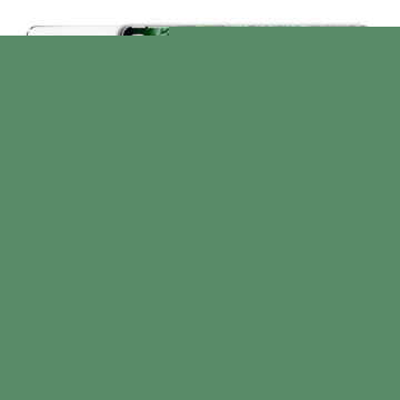 Силиконовый чехол на Ipad Pro с принтом Листья Силиконовый чехол на Ipad Pro с принтом Листья