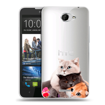 Пластиковый чехол на HTC Desire 516 с принтом Кошки