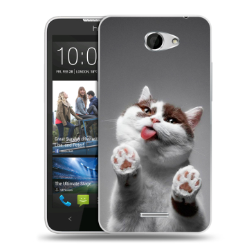 Пластиковый чехол на HTC Desire 516 с принтом Коты