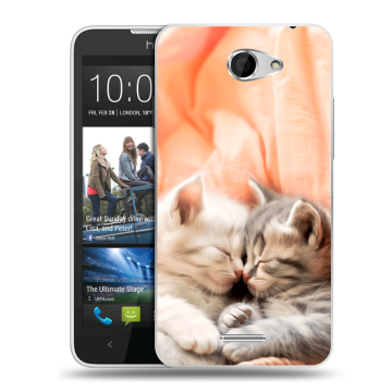 Пластиковый чехол на HTC Desire 516 с принтом Котята