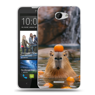 Пластиковый чехол на HTC Desire 516 с принтом Капибара с апельсином