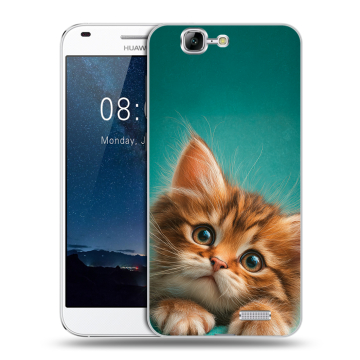 Силиконовый чехол на Huawei Ascend G7 с принтом котенок Силиконовый чехол на Huawei Ascend G7 с принтом котенок