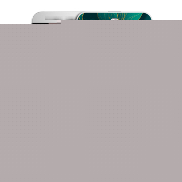 Пластиковый чехол на HTC One E8 с принтом Листья и золото