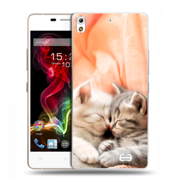 Пластиковый чехол на Fly IQ4516 Tornado Slim Octa с принтом Котята