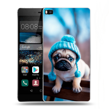 Пластиковый чехол на Huawei P8 с принтом Мопс в шапке Пластиковый чехол на Huawei P8 с принтом Мопс в шапке