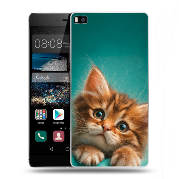 Пластиковый чехол на Huawei P8 с принтом котенок Пластиковый чехол на Huawei P8 с принтом котенок