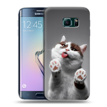 Силиконовый чехол на Samsung Galaxy S6 Edge с принтом Коты Силиконовый чехол на Samsung Galaxy S6 Edge с принтом Коты