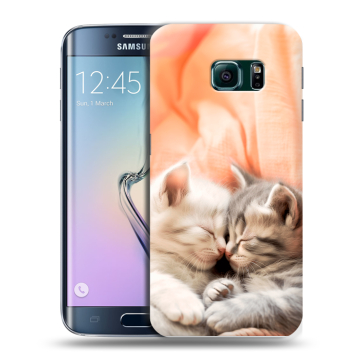 Силиконовый чехол на Samsung Galaxy S6 Edge с принтом Котята Силиконовый чехол на Samsung Galaxy S6 Edge с принтом Котята