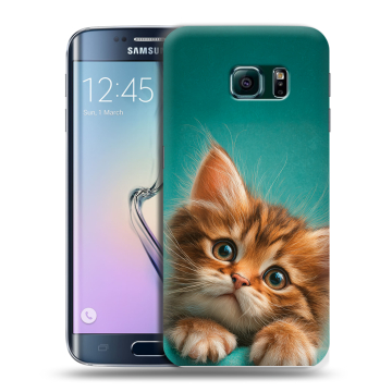 Силиконовый чехол на Samsung Galaxy S6 Edge с принтом котенок Силиконовый чехол на Samsung Galaxy S6 Edge с принтом котенок
