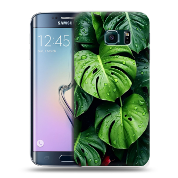 Силиконовый чехол на Samsung Galaxy S6 Edge с принтом Листья Силиконовый чехол на Samsung Galaxy S6 Edge с принтом Листья