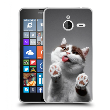Пластиковый чехол на Microsoft Lumia 640 XL с принтом Коты Пластиковый чехол на Microsoft Lumia 640 XL с принтом Коты