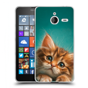 Пластиковый чехол на Microsoft Lumia 640 XL с принтом котенок