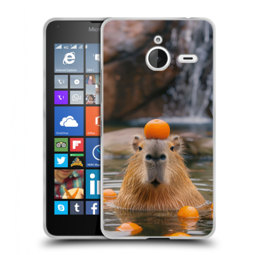 Пластиковый чехол на Microsoft Lumia 640 XL с принтом Капибара с апельсином Пластиковый чехол на Microsoft Lumia 640 XL с принтом Капибара с апельсином