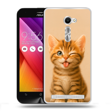 Пластиковый чехол на Asus Zenfone 2 5 с принтом котенок Пластиковый чехол на Asus Zenfone 2 5 с принтом котенок