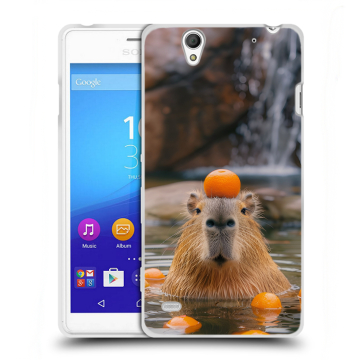 Пластиковый чехол на Sony Xperia C4 с принтом Капибара с апельсином